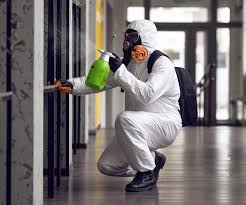 Best Black Mold Removal  in Amity Gardens, PA